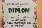 Thumbnail for the post titled: Turnaj malotřídních škol ve vybíjené